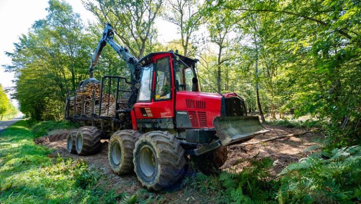 Production et livraison de bois de chauffage Héry