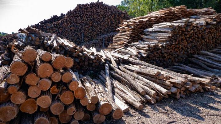 Acheter du bois sur pieds en forêt Héry