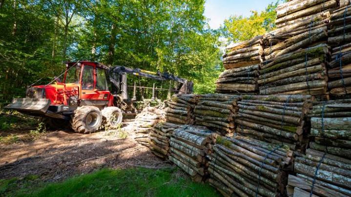 Transformation bois de chauffage Héry