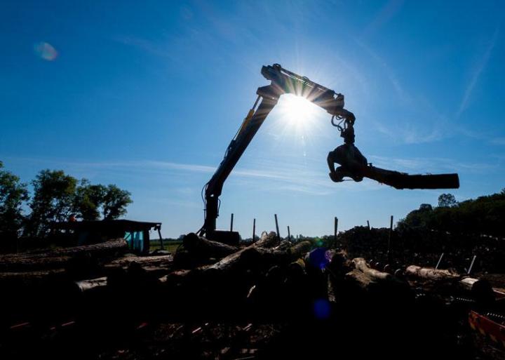 Transformation bois de chauffage Héry